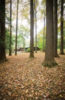 Pitcairn-house-in-woods