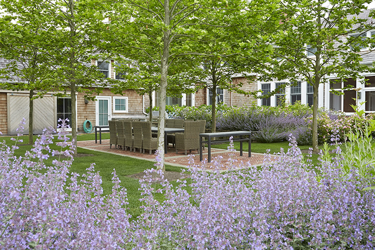 Stawski_20140622_8087