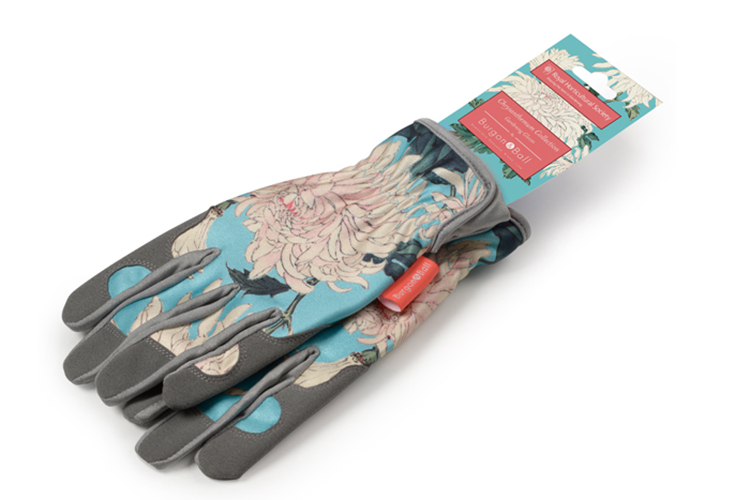 Screen Shot 2017-01-18 at 1.15.33 PM copy