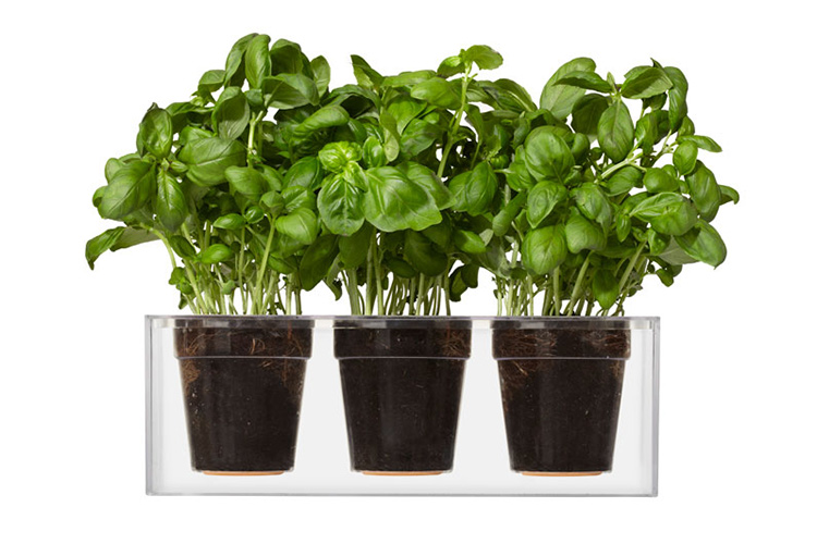 Cube Planter
