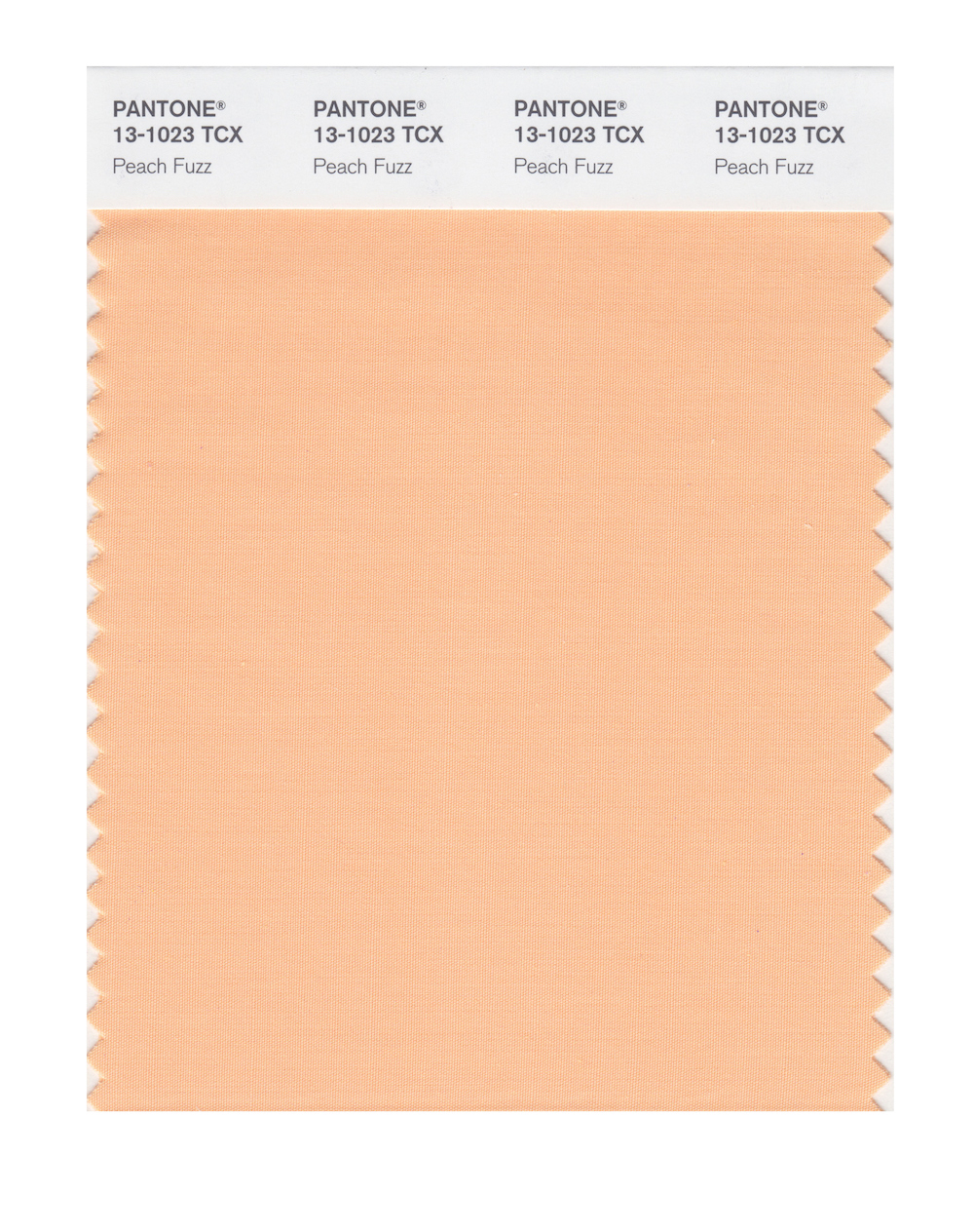 Peach Fuzz A Closer Look At The Pantone Color Of The Year 2024 peach-fuzz-a-closer-look-at-the-pantone-color-of-the-year-2024